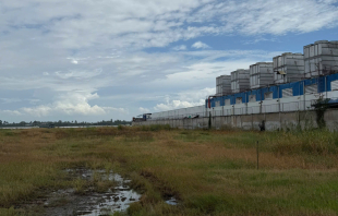CHO THUÊ QUỸ ĐẤT SẢN XUẤT KINH DOANH HƠN 20.000M² – TRUNG AN, ĐỒNG THÁP (TIỀN GIANG CŨ)